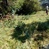 mutirinho_2020-02-16--416e51f1266010c02