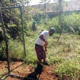 mutirinho_2020-02-16--566ab7a280d5004d5