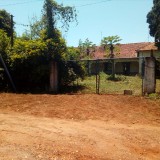 mutirinho_2020-02-16--84260e42b1c1656d4